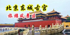 用大鸡巴骚逼中国北京-东城古宫旅游风景区